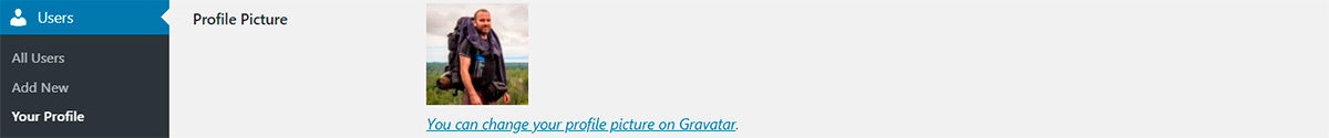 Upload your Gravatar in WordPress