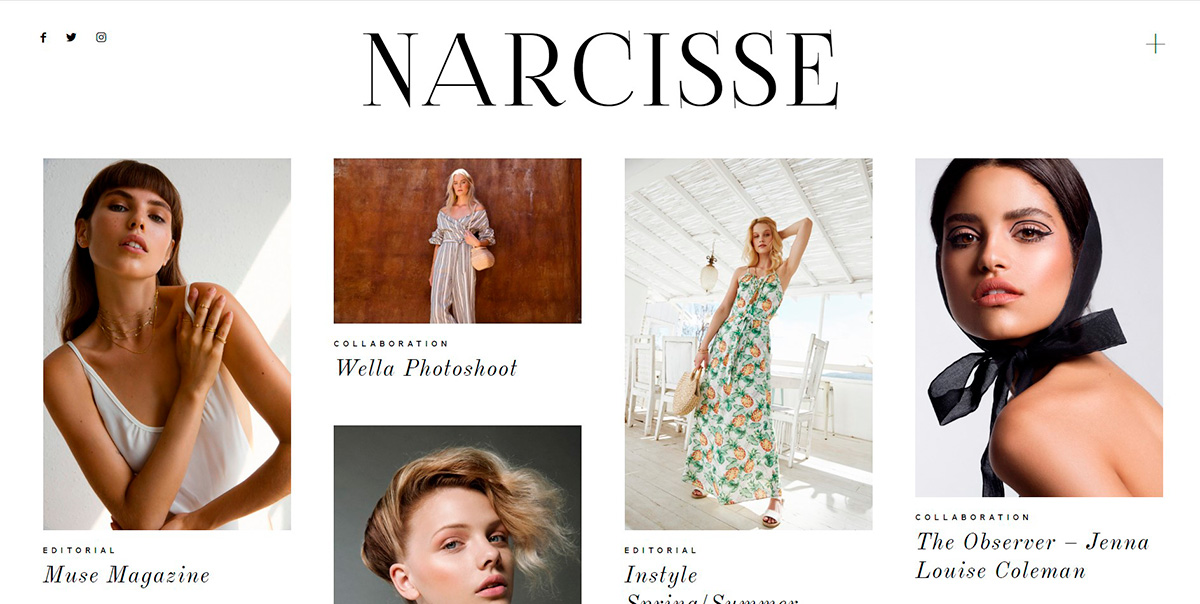 Narcisse WordPress Theme Example