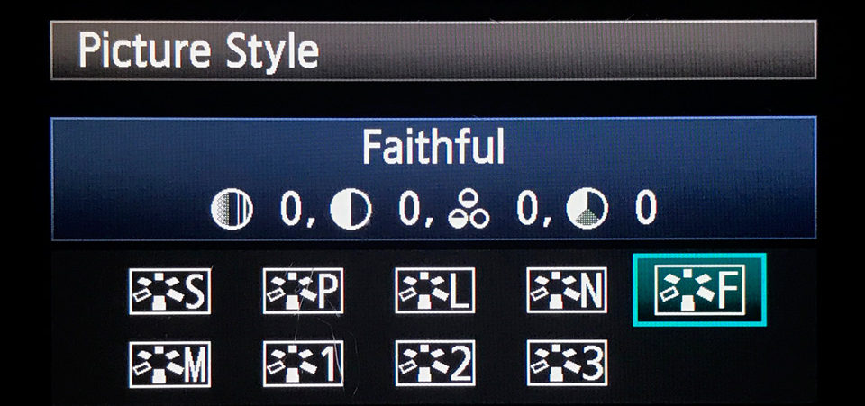 Picture Style Camera Setting